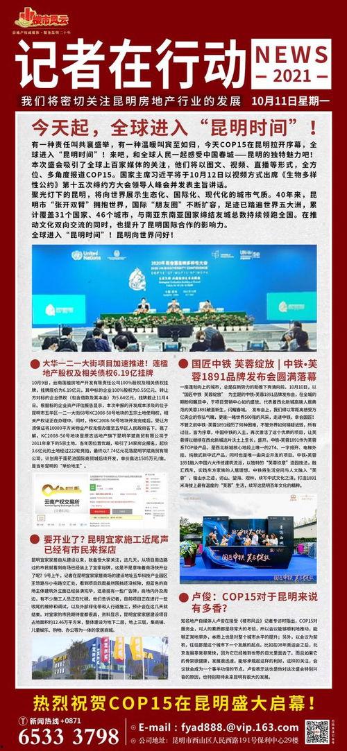 楼盘独家爆料新闻报道稿,XX楼盘背后的惊人内幕！