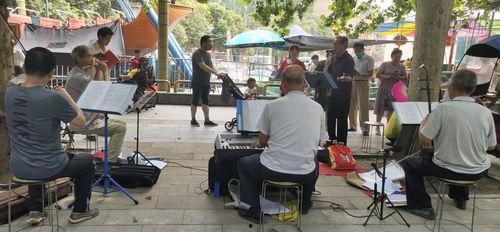 西平来网红,揭秘网红背后的故事与影响力