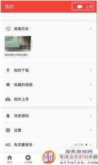 怎样录吃瓜视频,轻松分享快乐时光