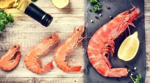 小棚虾如何看料台好坏呢,如何通过料台判断好坏