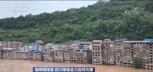 坪川县东沟镇新闻头条,聚焦乡村振兴新篇章