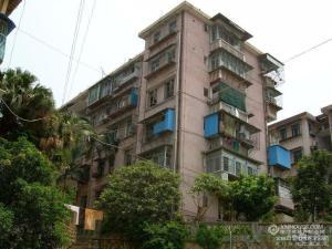 厦门 网红小区有哪些,打卡热门生活圈