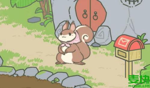 青蛙喜欢吃瓜,探寻青蛙的饮食偏好