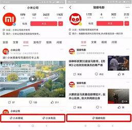 头条小程序电影评论,盘点头条小程序观众热评，一窥光影世界里的真实心声