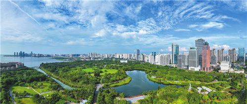 今日海口湾头条新闻,聚焦生态修复与城市更新成果