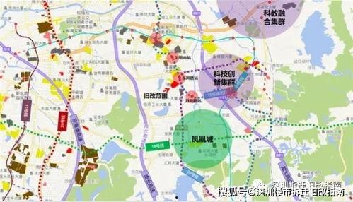 东莞塘尾新闻头条疫情