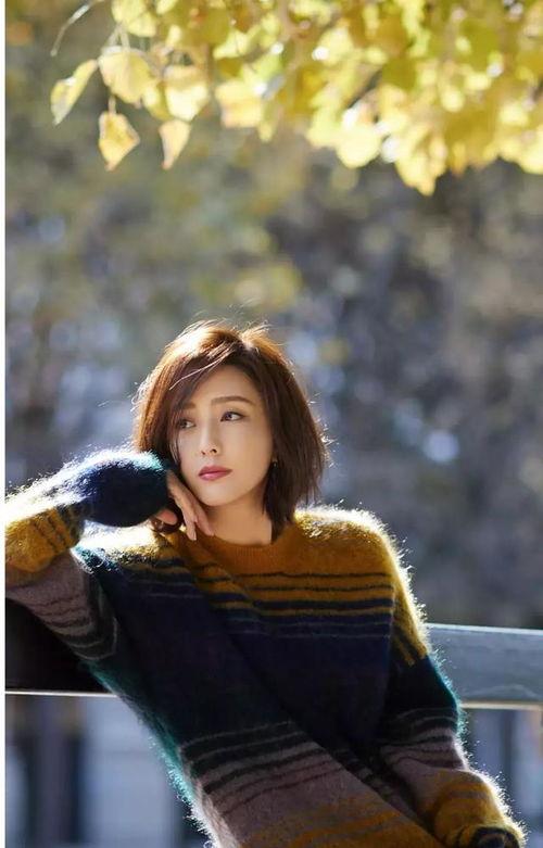 毛衣美女明星,明星演绎冬日时尚魅力