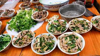 客家美食爆料视频大全集,视频大全集带你领略风味独特的地方佳肴