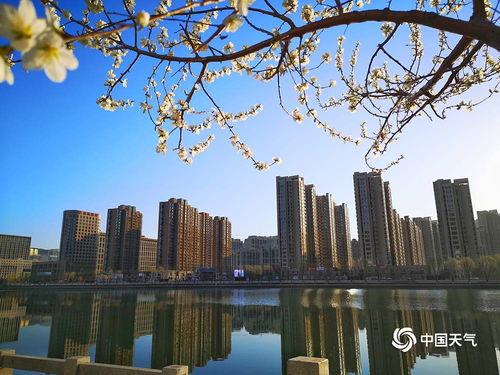 今日头条承德春色饭店