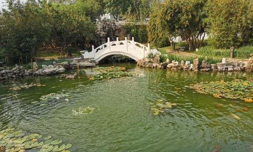 灵山灵成网红景点,网红景点的神秘魅力之旅