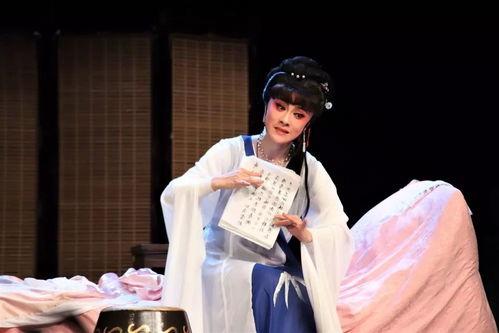 王美川明星,星光璀璨的演艺之路